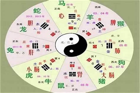 癸卯年五行|癸卯年的五行属性是什么 癸卯年水多还是木多——天玄网